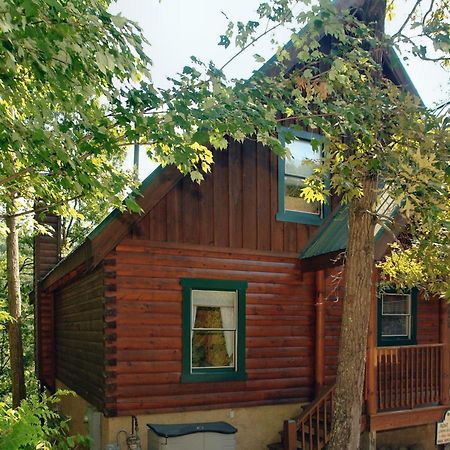 Buddy Bear #249 Pigeon Forge Exterior foto